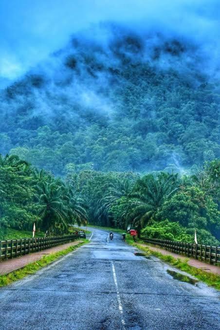 Rain Drops Premium Villas - Athirappilly Extérieur photo